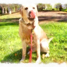 Summertime means staying hydrated when outside