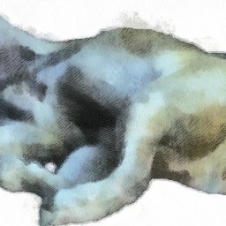 Moby’s Enjoying Longer Days…by Sleeping