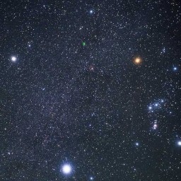 Where Does The Expression “Dog Days of Summer” Come from?