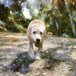 Beautiful, Sunny Weather Means Labrador Hike!