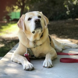 Moby’s Enjoying the Nice Weather