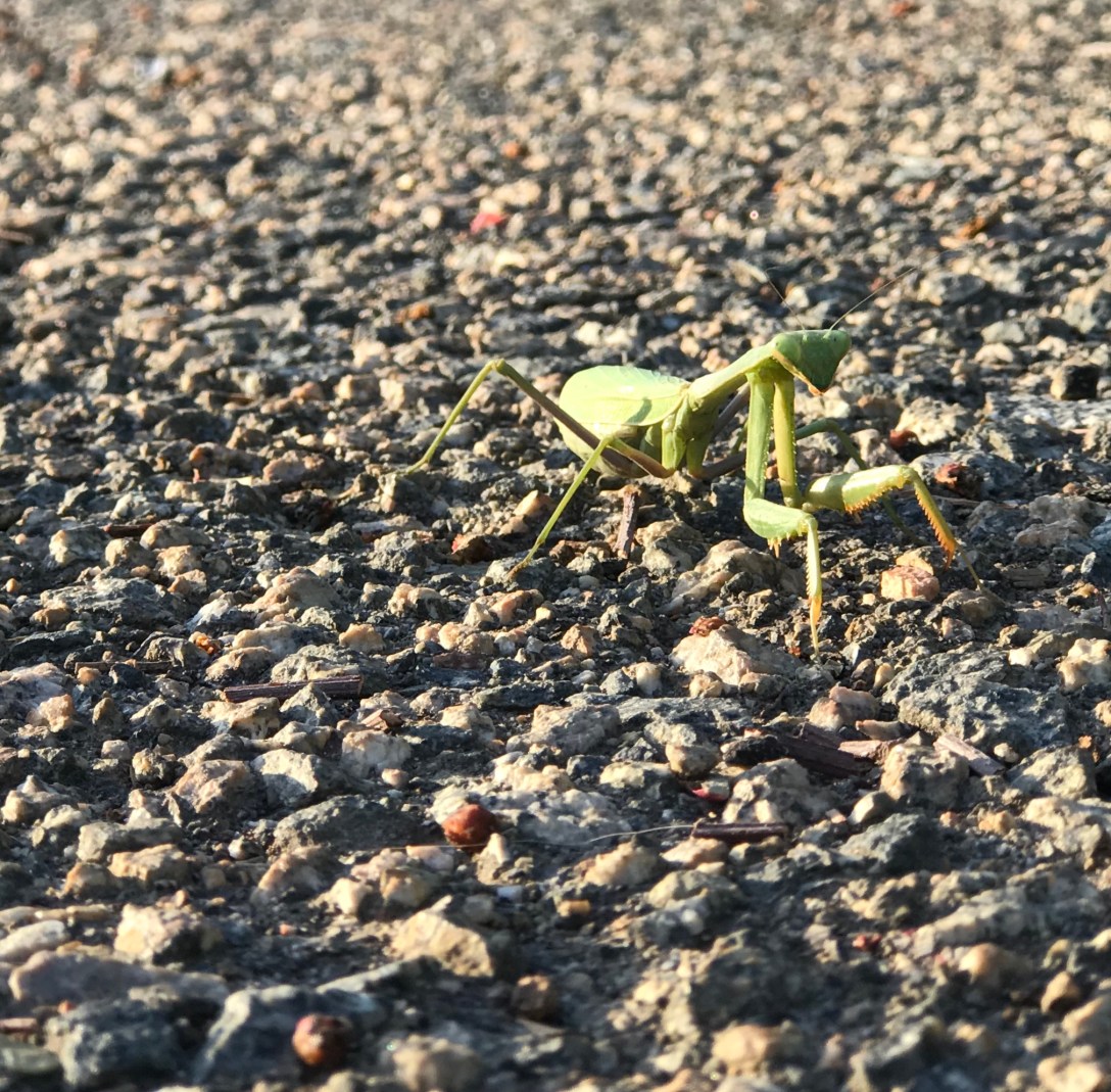 08CE3503-9927-4DF3-81F7-2C7BD8493095