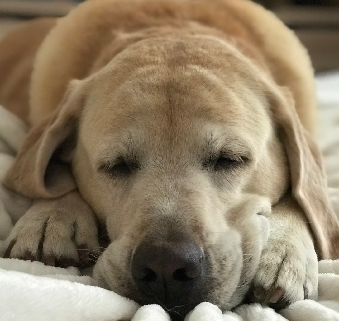 ADCBD3FB-C941-4363-BC2A-390C6F79D667