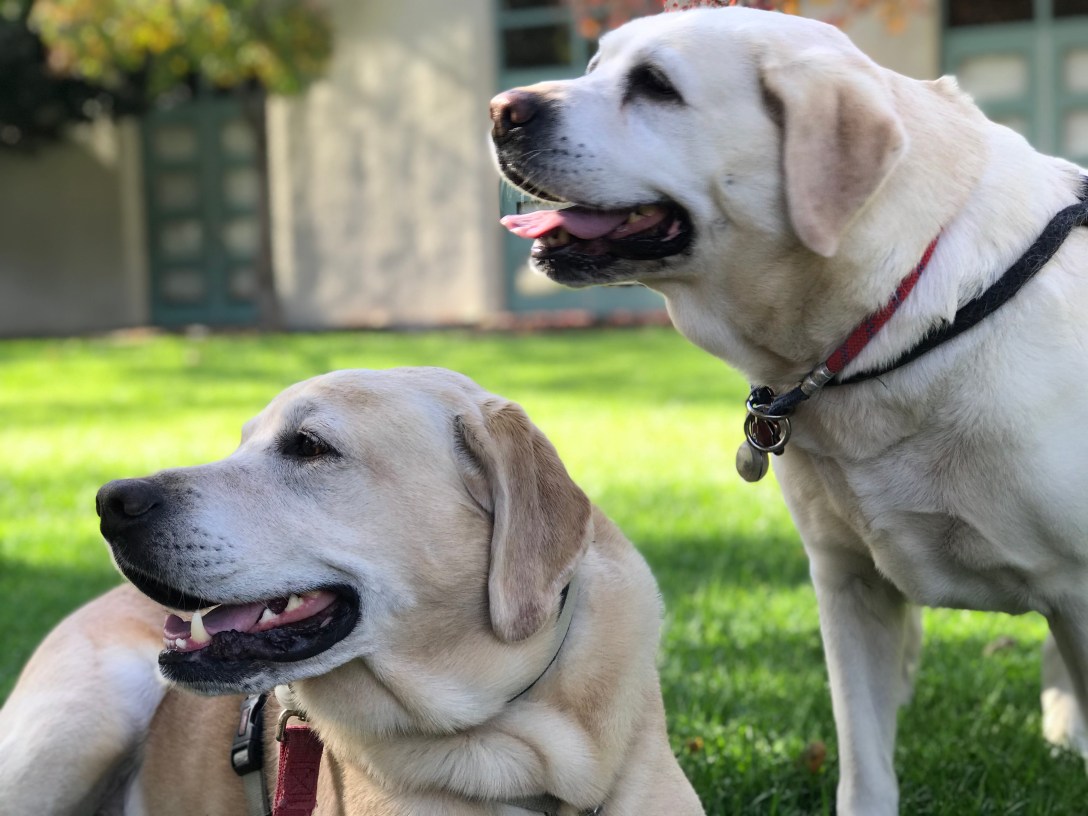 007E94F5-7269-4B00-BD50-AB211DE3C357