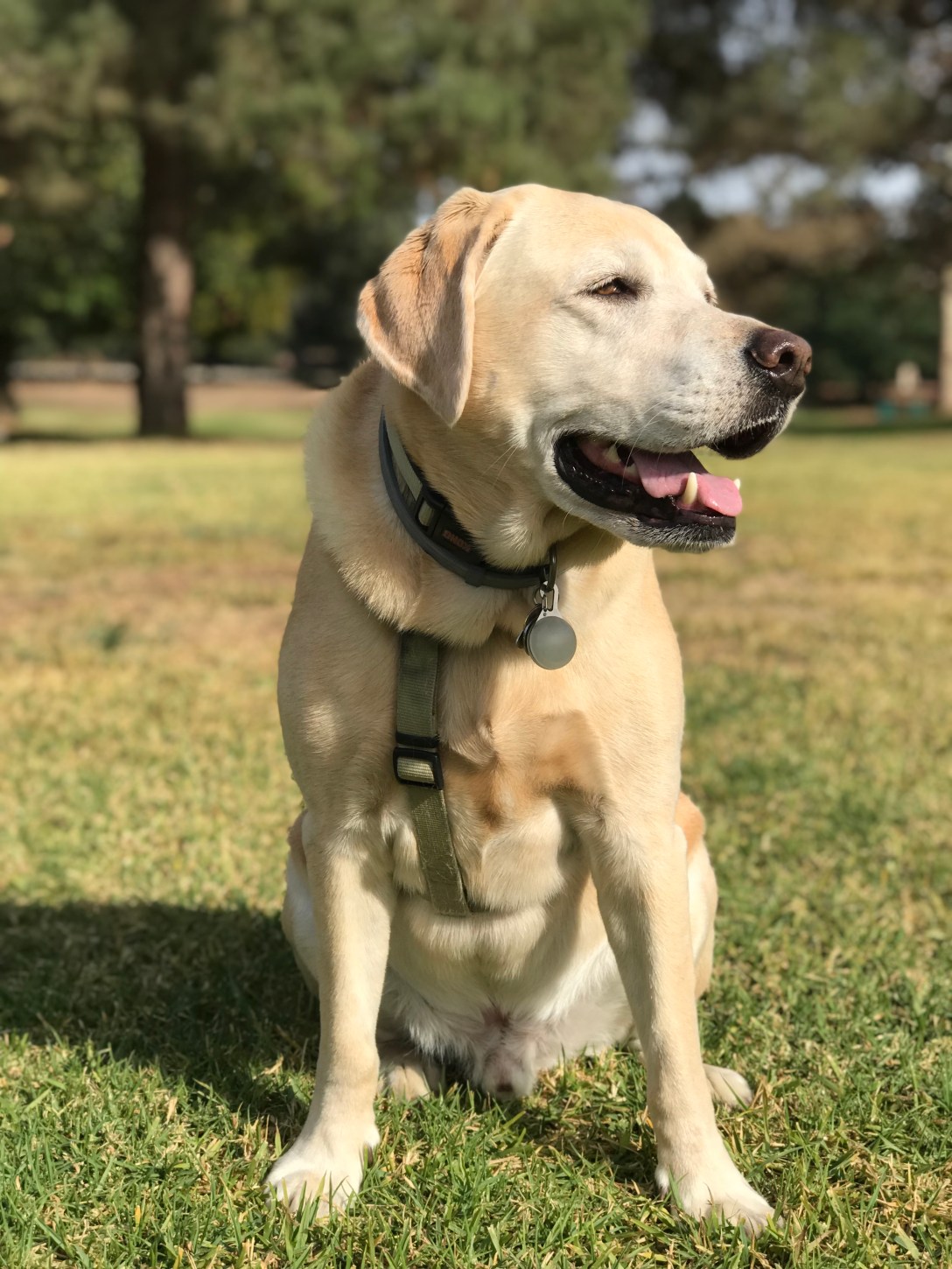 46EF72C0-F845-4920-BA1B-5DE16B5CDD41