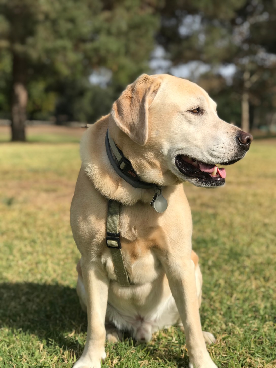 557D266C-0C33-41CC-B60B-95C139DDCF7F