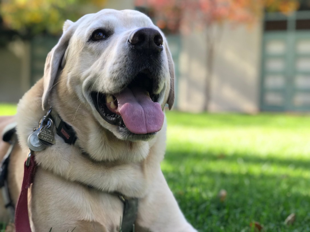 59809C86-7960-4D41-8C42-D158A174B139