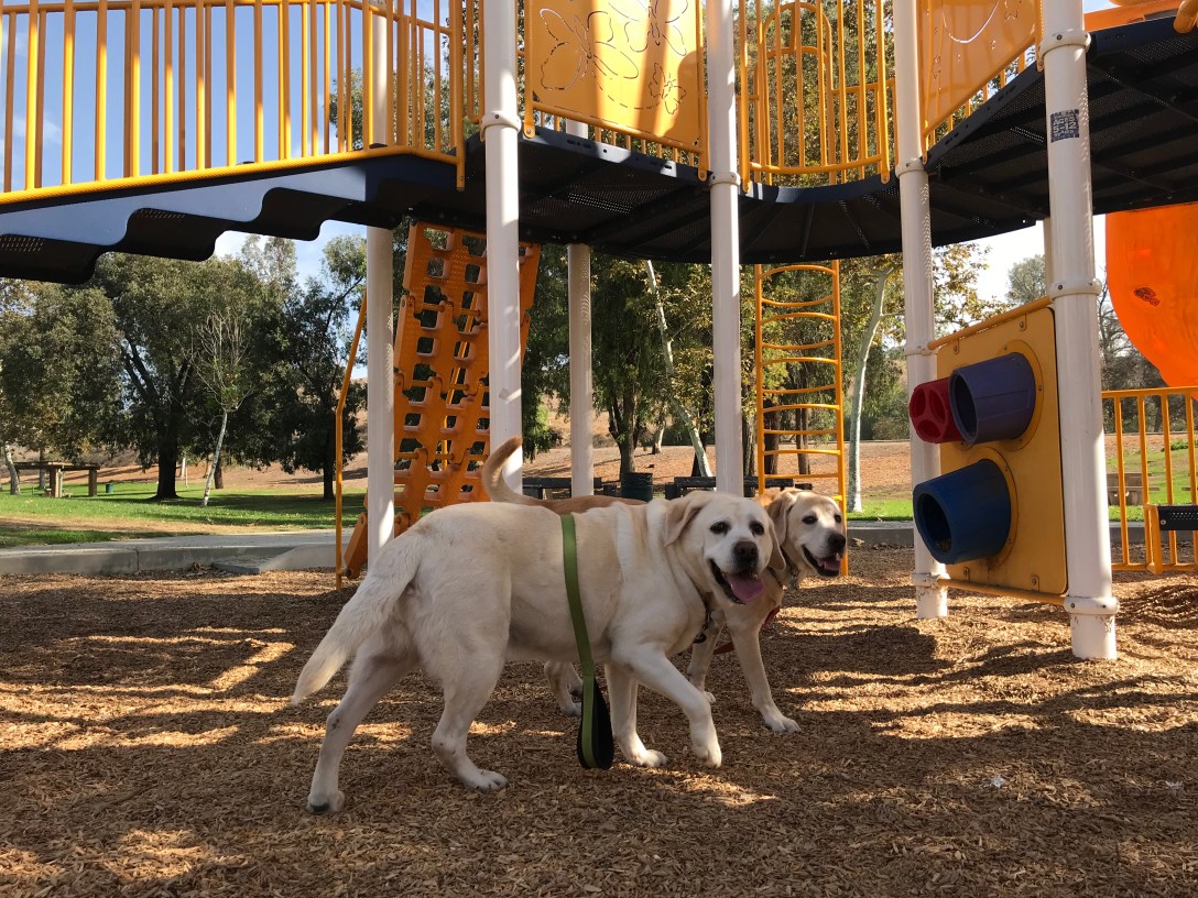 5E5C7DFC-5B30-4E17-85C9-7C88EAF111BA