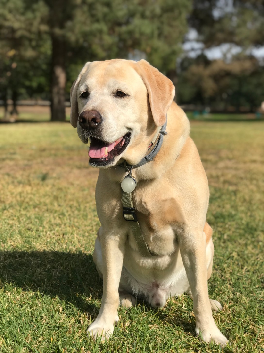 76436DA0-472F-4D06-90E8-54ABC38FB4E7