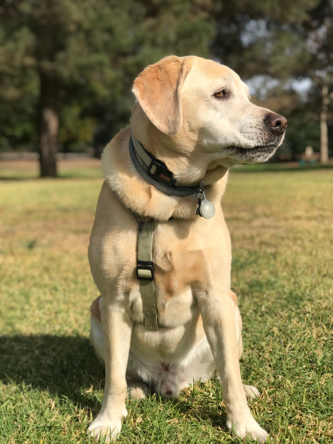 8AA0020C-9469-43D8-8CF1-8C629F2967AE