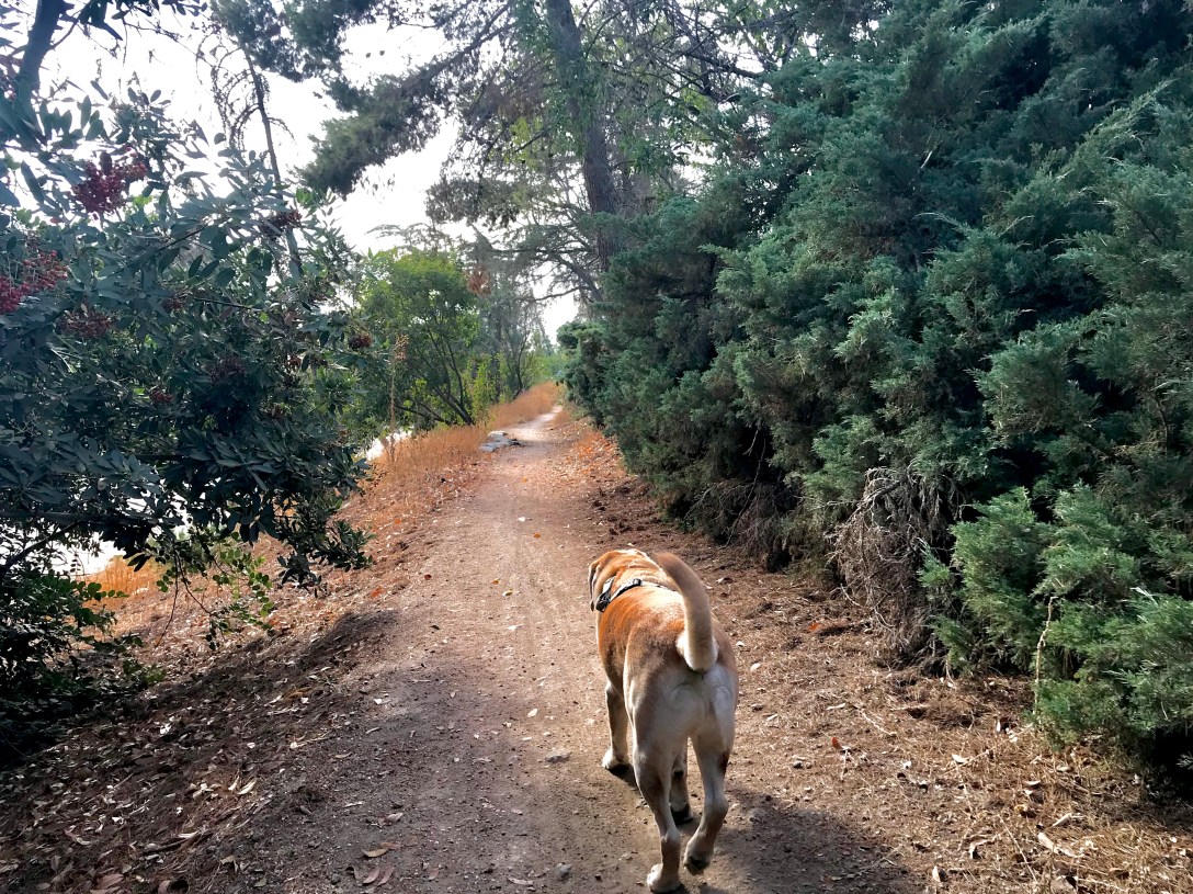 9D1F8AC1-F9C9-4DED-A490-9D9F766F99C0