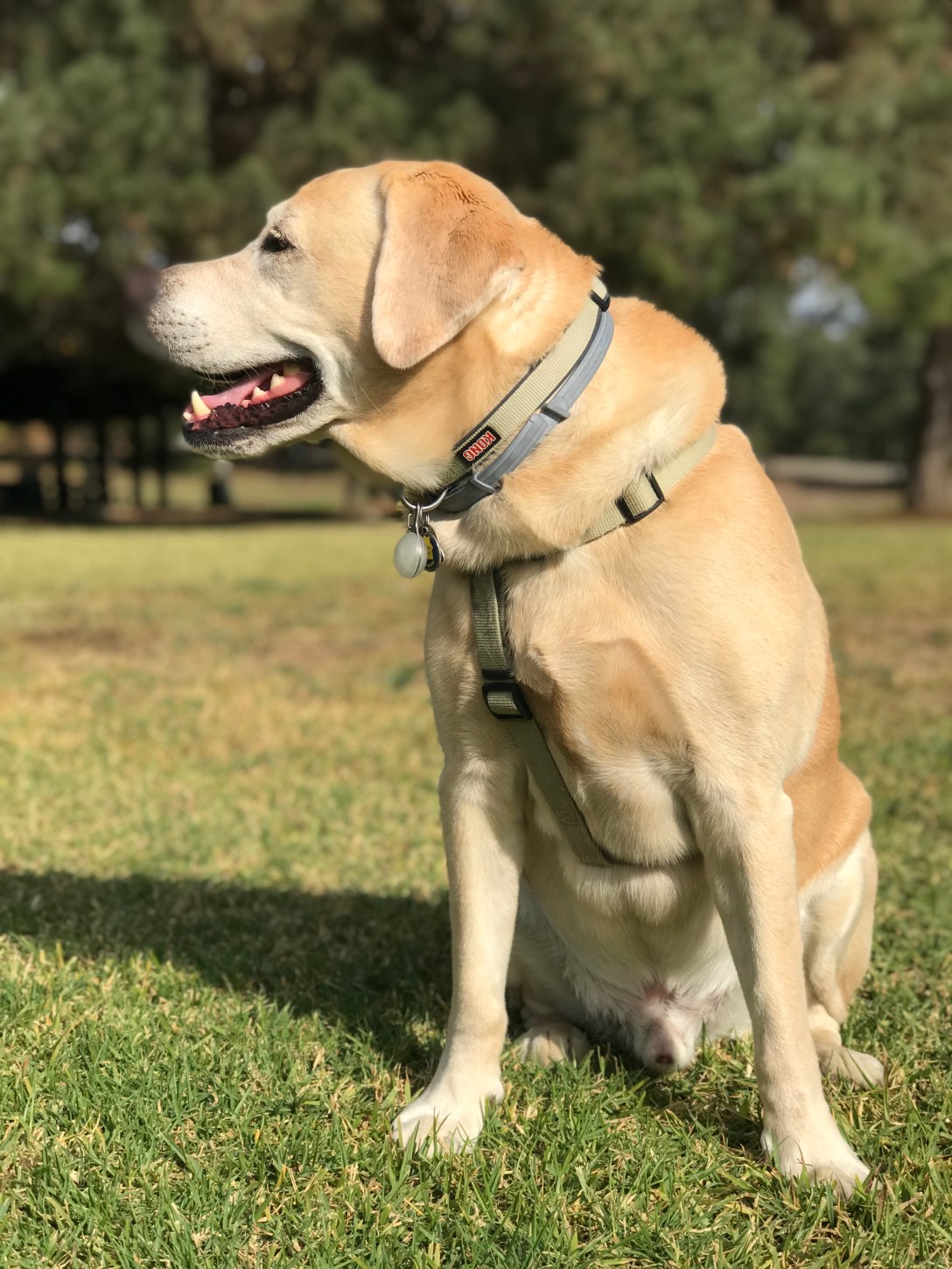 AC6AD6AD-5C3A-4ECD-8549-6856AA1A84C8