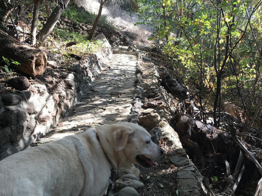 B2A1E1AE-DA3E-44DE-96C2-264F78F6A943