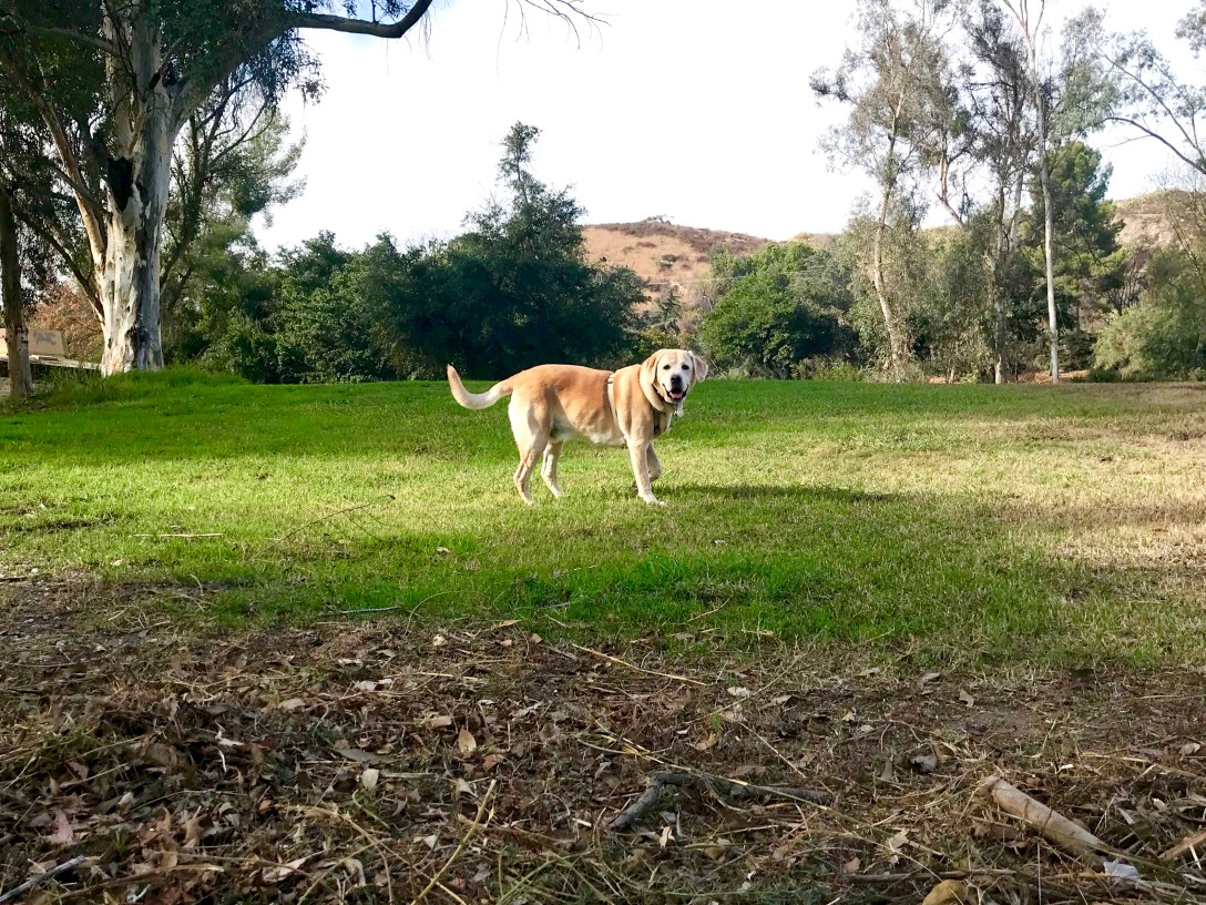 BE576FDA-119F-406E-9AB3-FC4EE80088E1