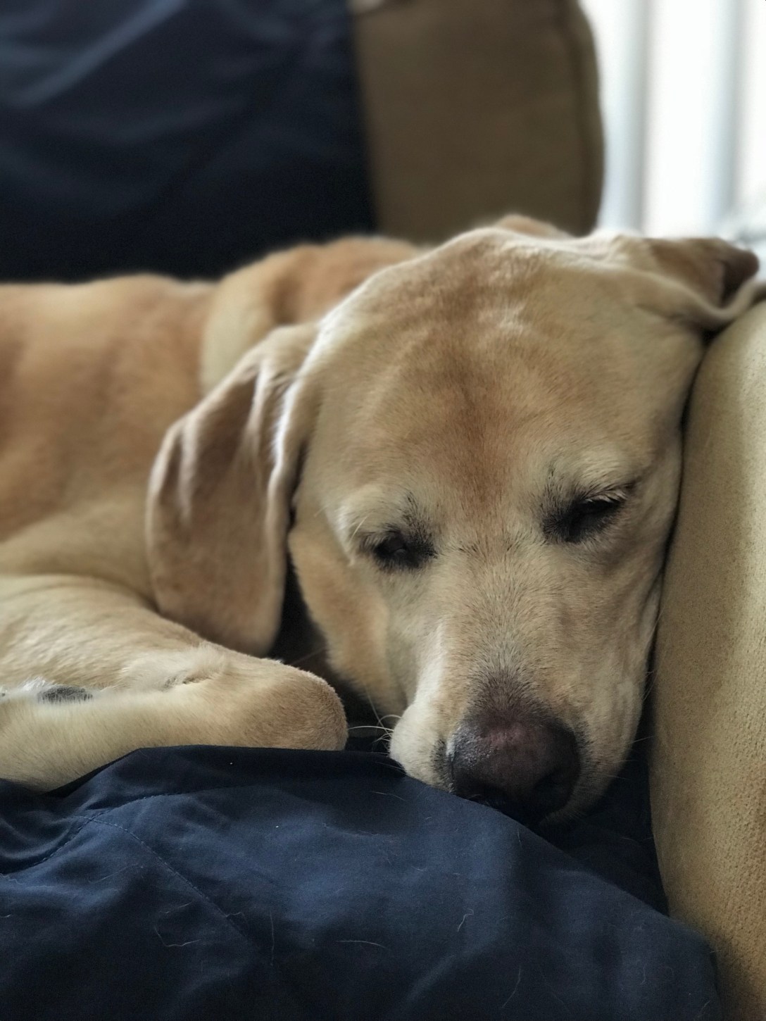 C0939876-DC64-410C-AFFF-F4101FFBF3FD