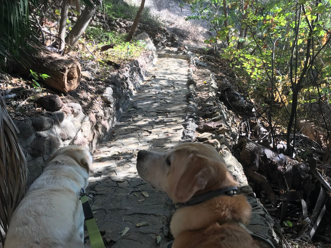 CB14EF0D-13AC-46AB-8FE2-187DB248FECF