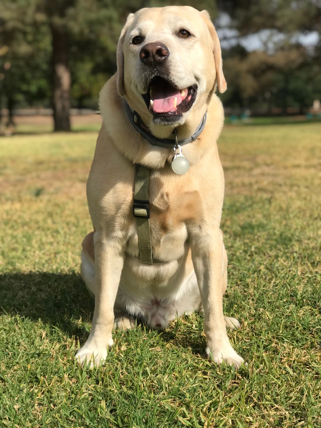 D12DDE7F-06F6-4571-AF7B-1530142DD9CF