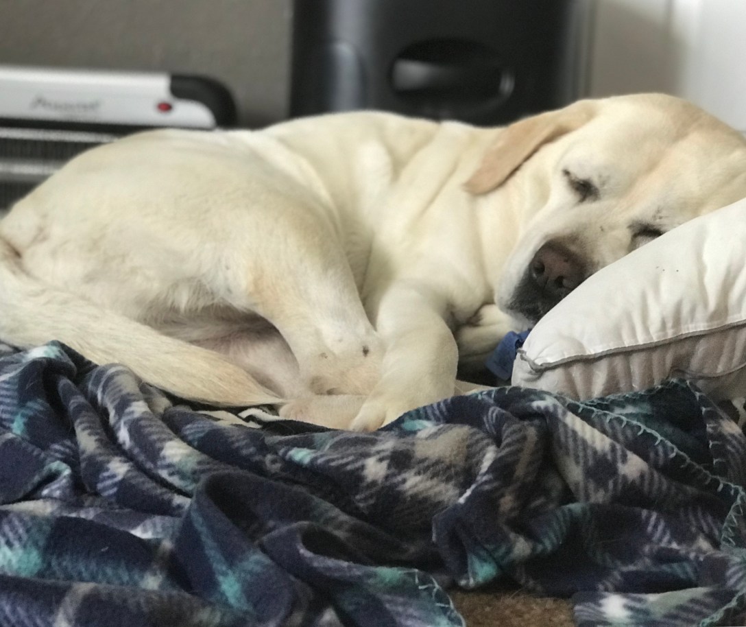 D67802DF-C6A9-47A0-9D74-AEE32C1E2F70