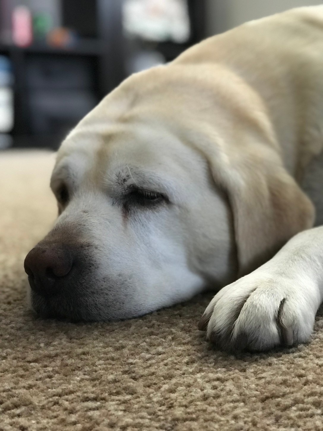 E20E9DB4-8601-4389-A25D-4B531C323CDA