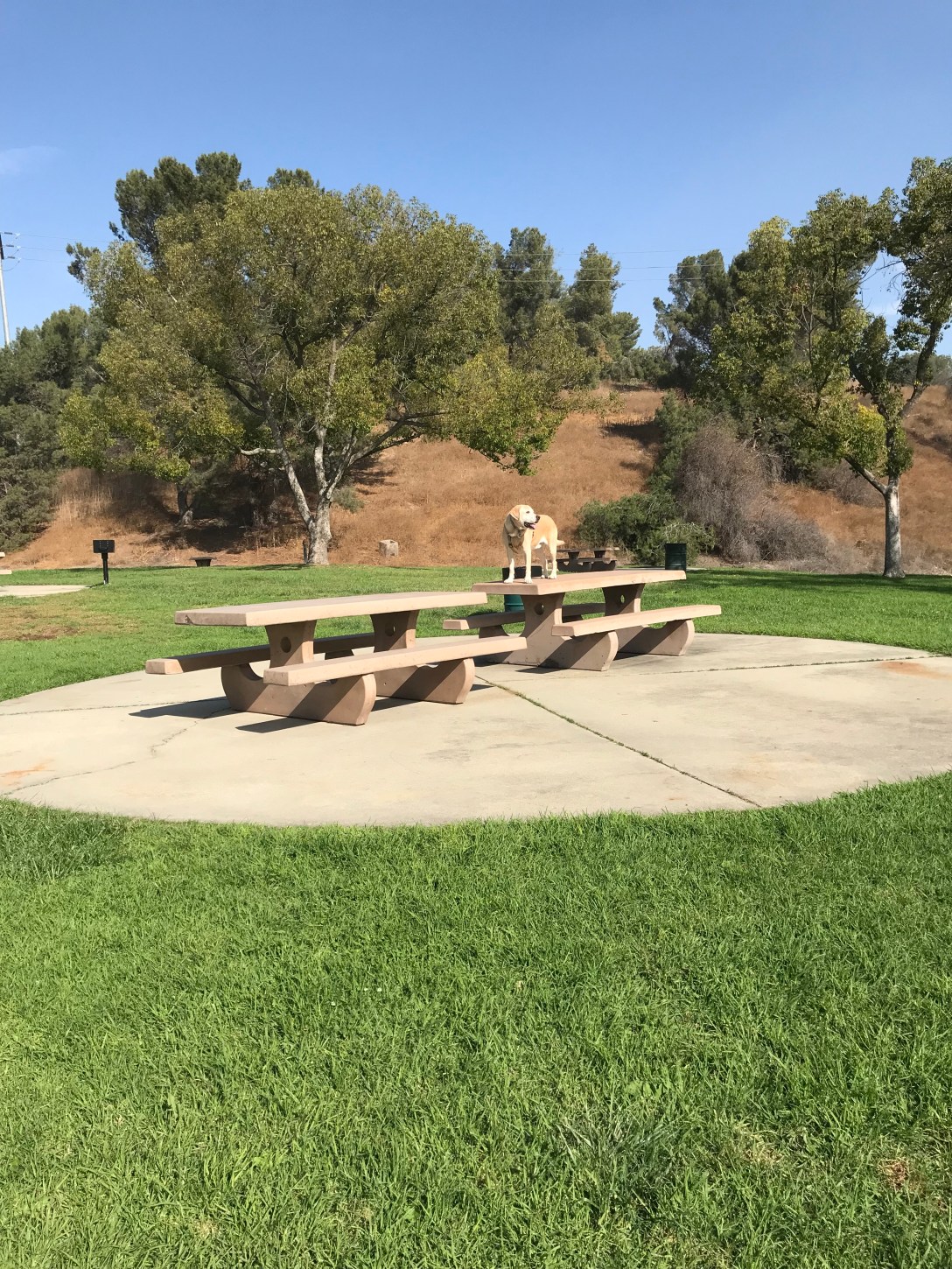 F29FDF35-8052-4F5E-BB4F-FBB59C244AD3