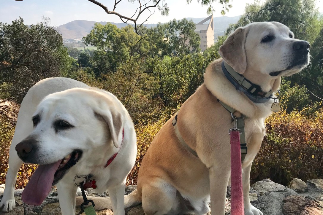 FED40B0B-690A-49E7-B65A-369F78FA1218