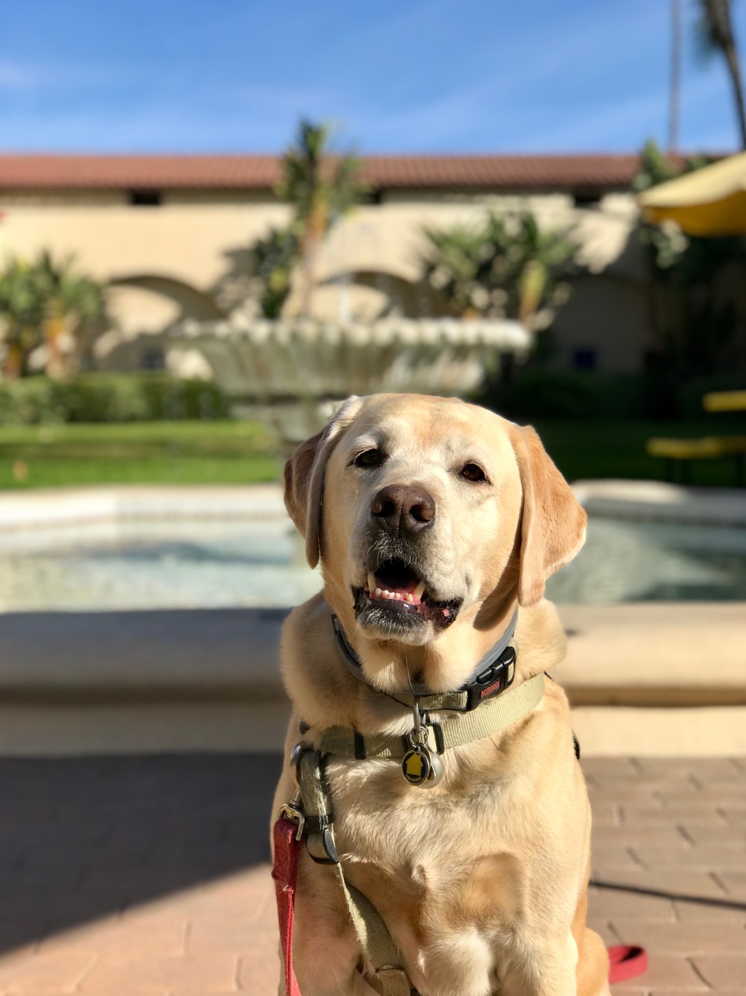 01632E48-29ED-4328-9EAC-E6B791A0E67D