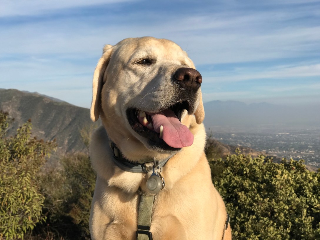 0439BD44-33F7-4E11-88C1-2F837FE36EC7