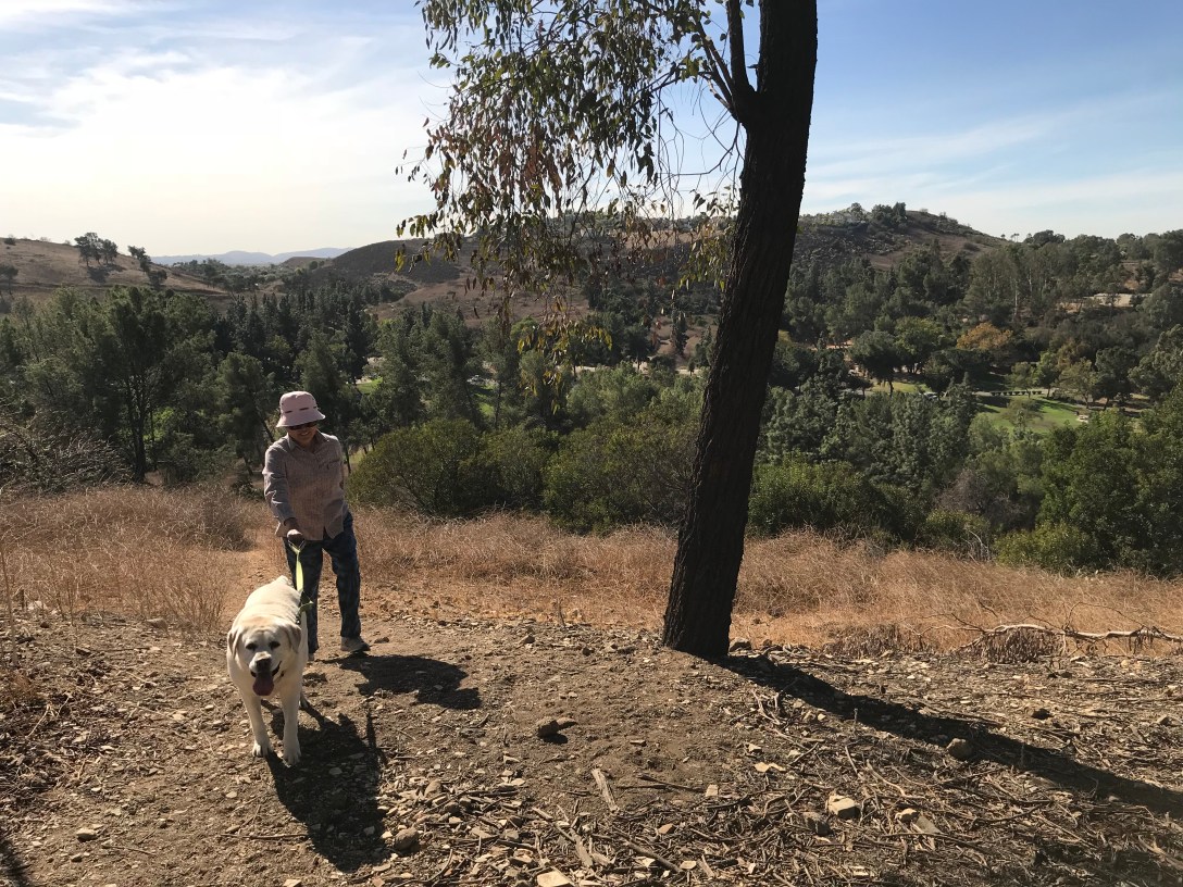 0C86AB31-7B20-4EED-A264-4992D54EBFD0