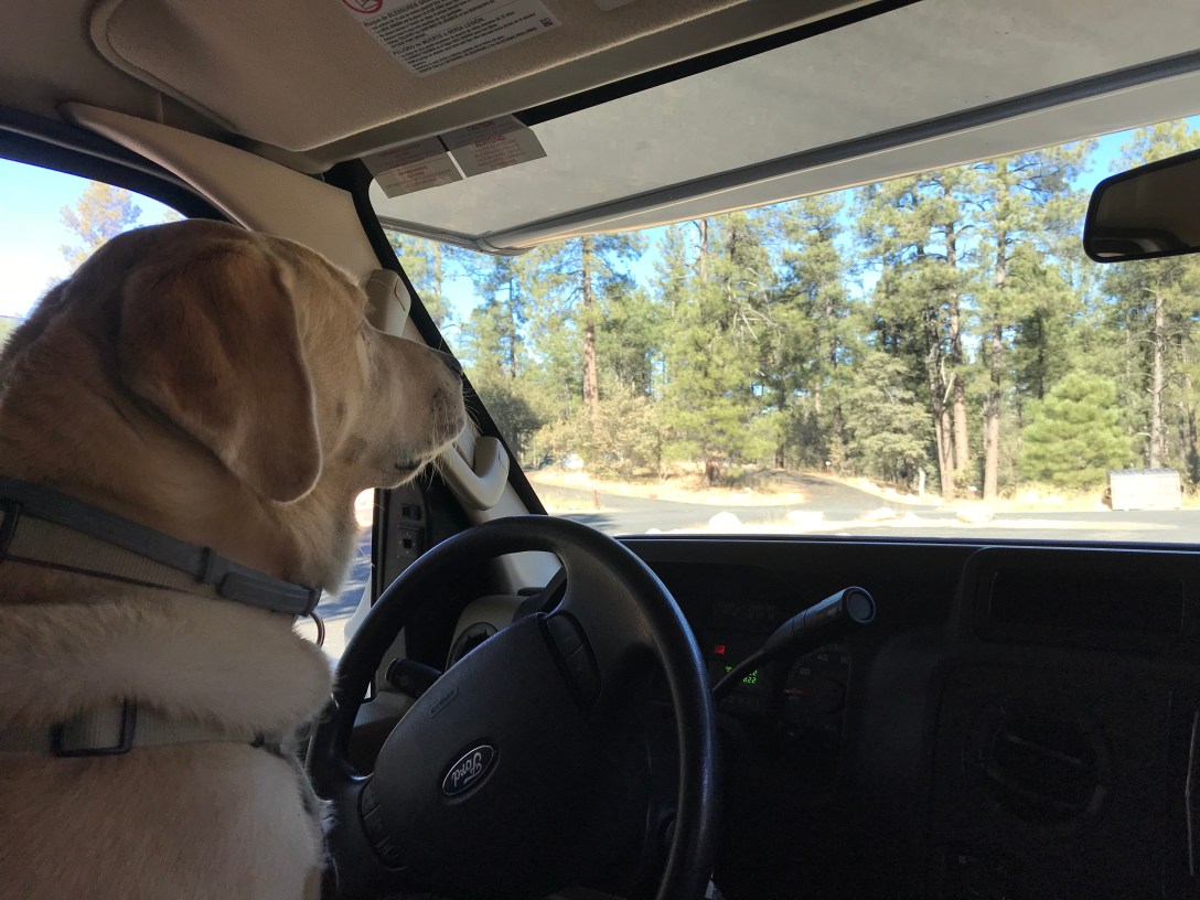 1629BA8F-2D4F-4F62-A0FF-1A0B33B632C7