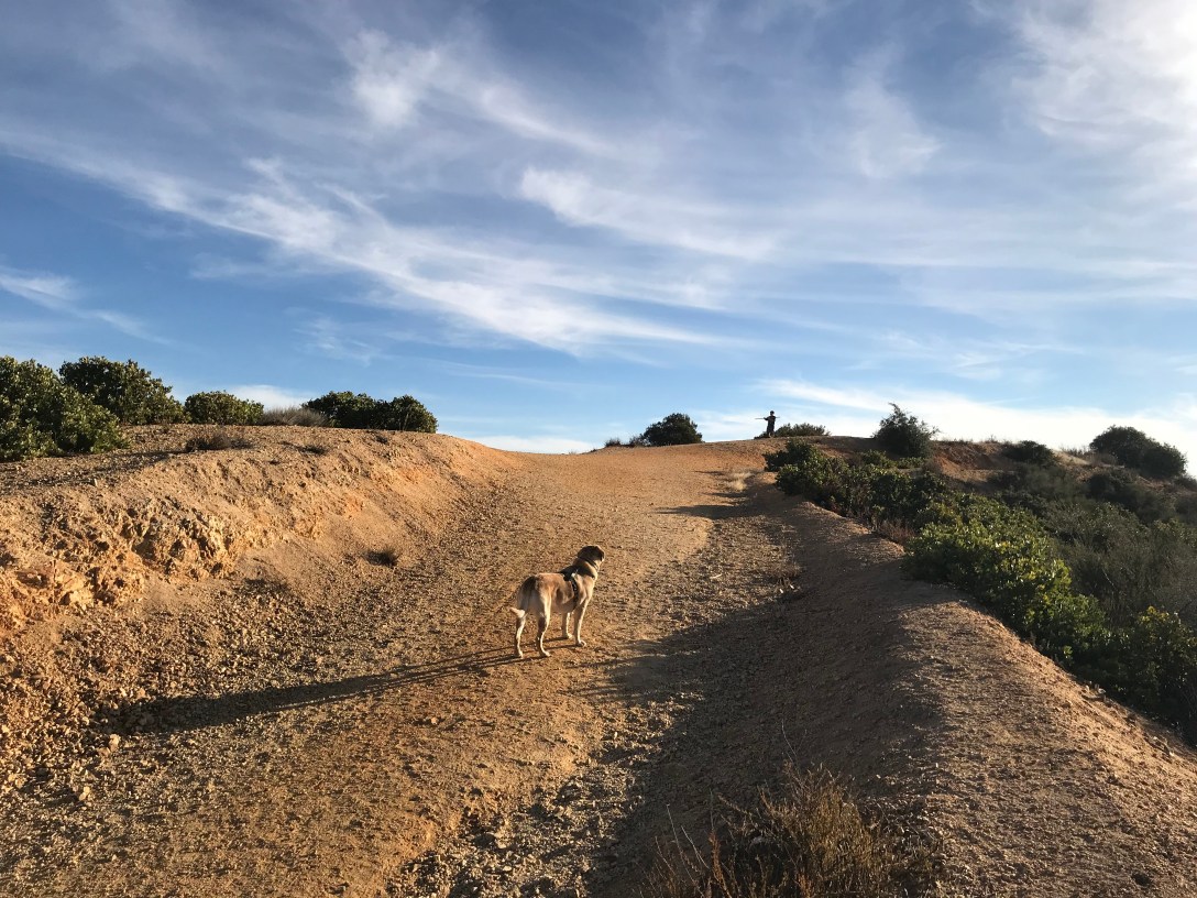 21A73404-B187-4637-8EB7-C108B04AD053