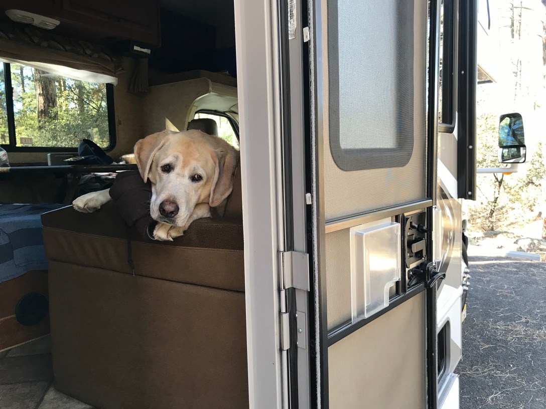 258206B7-2387-4F6F-AE1B-A62FCA1B8411