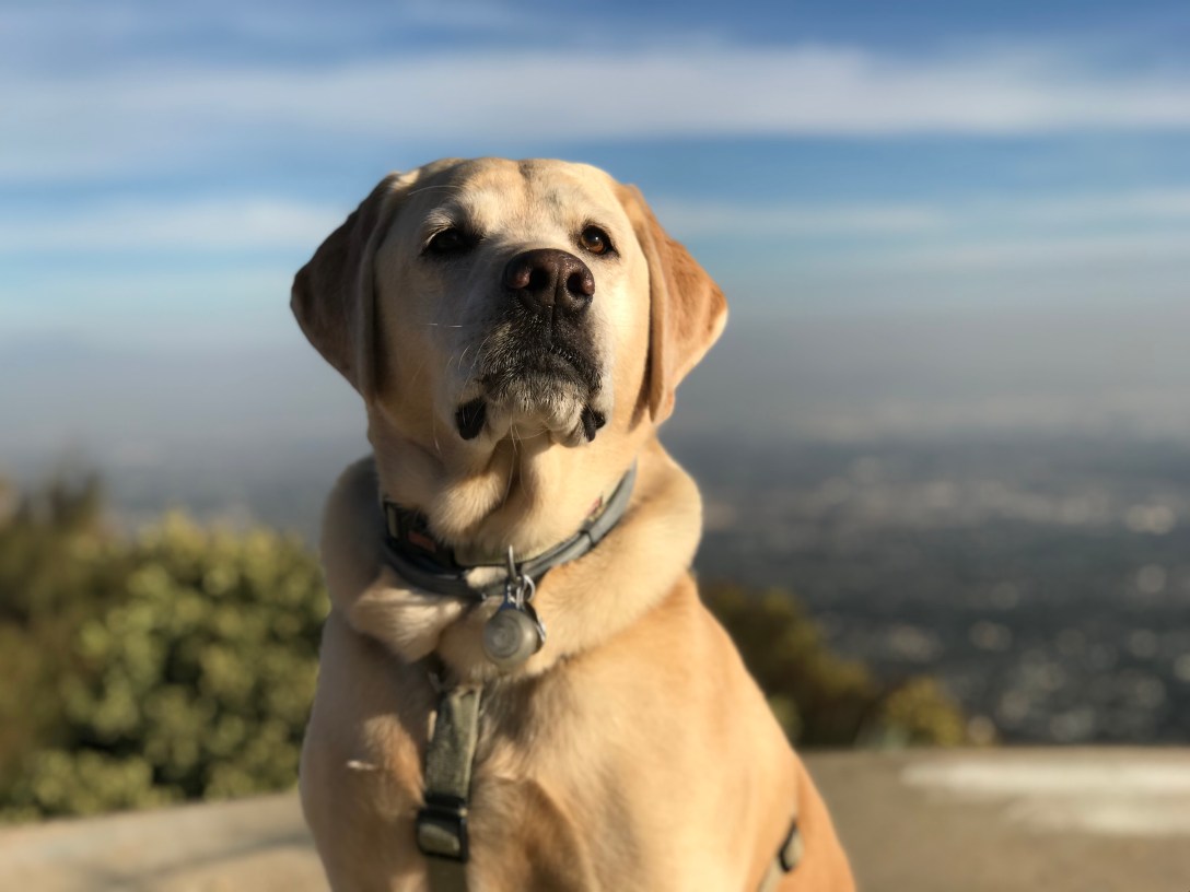 3FAA3438-882F-4298-AA25-D13B888F9802