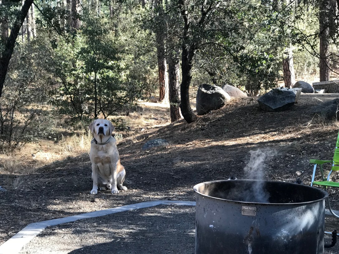 4654C5B7-E779-4307-A44F-9B1C2379B447