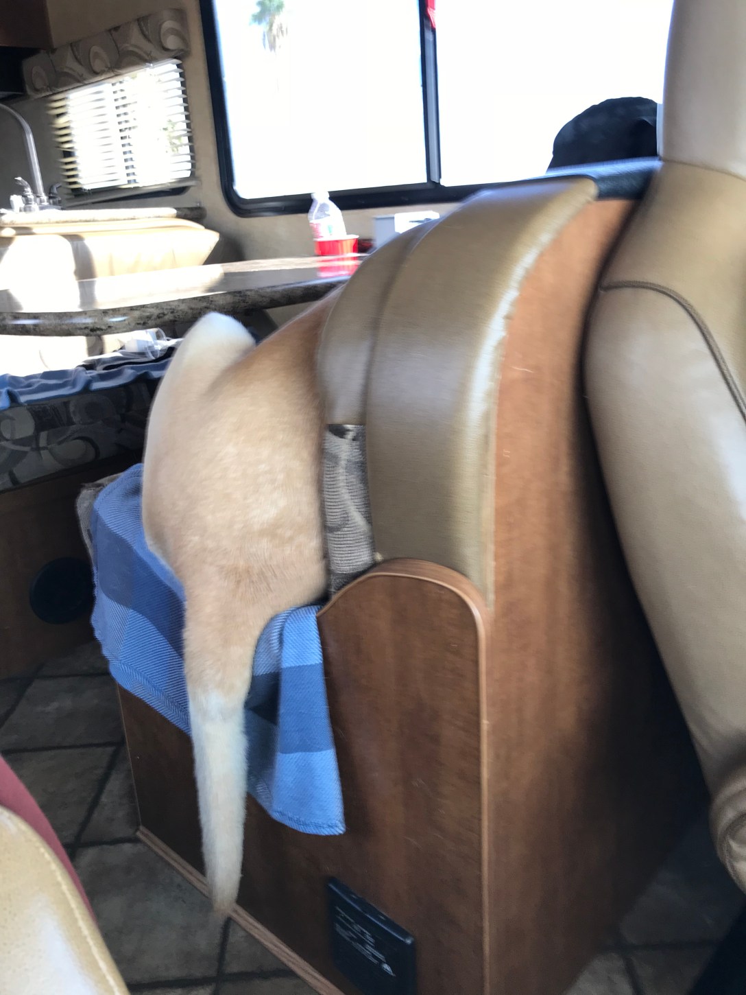 61DB3B85-25A9-43EE-8A41-66E9DE938571