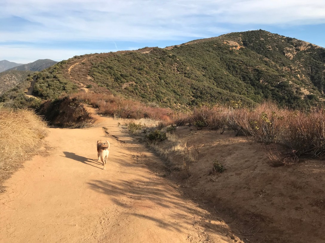 6AF368BE-944A-4A4D-8594-797ED4753ABE