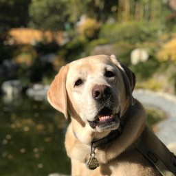 Moby’s Sunny Christmas Eve