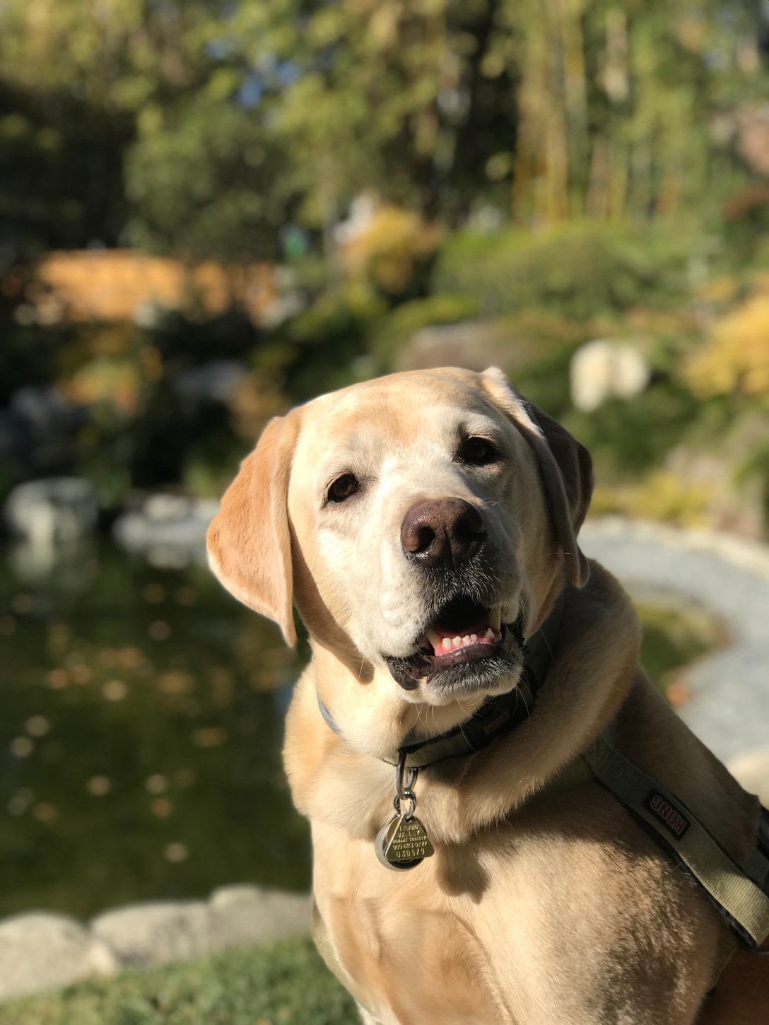 6DD27841-38B2-406E-9FC4-8A2E09AC720D