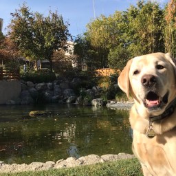 Moby, Are You Ready for the New Year??