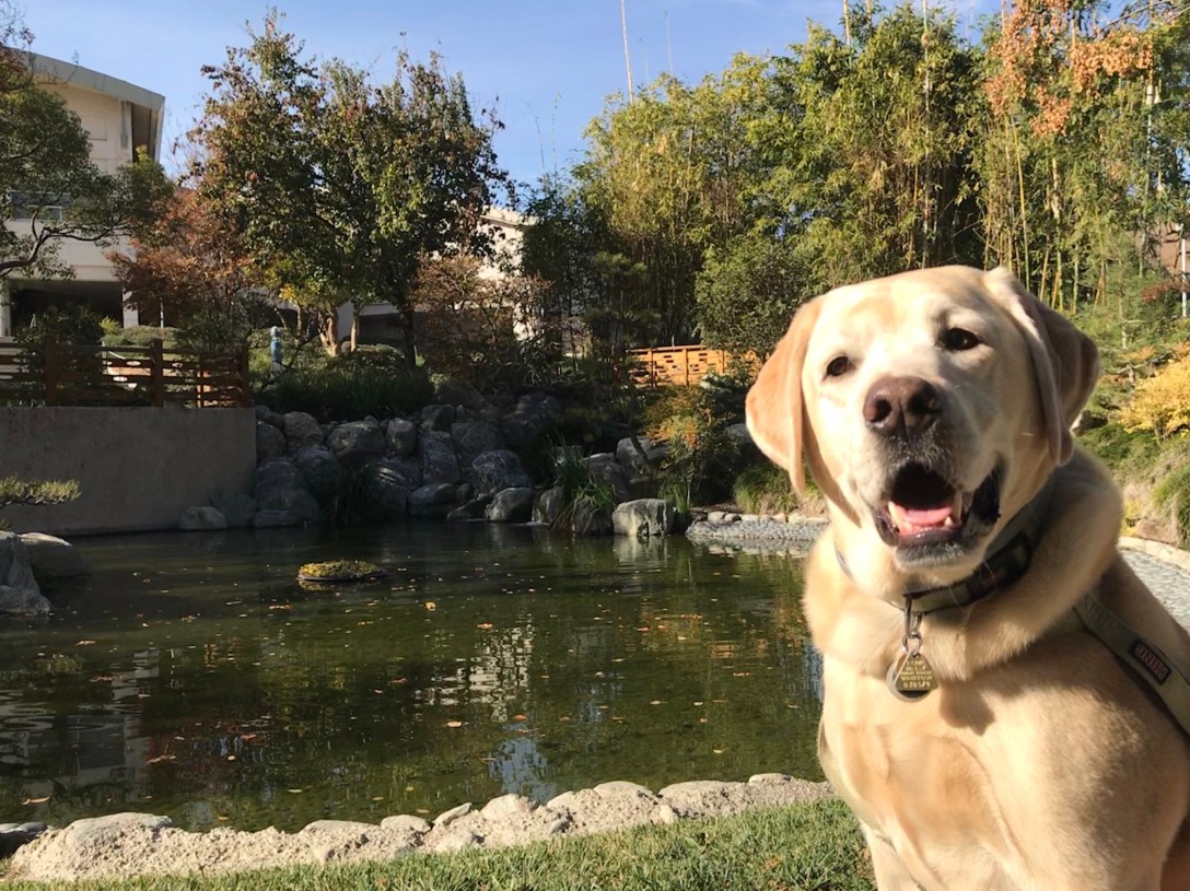 76EFBC41-6EBA-49AF-931A-2CD1702E83EE