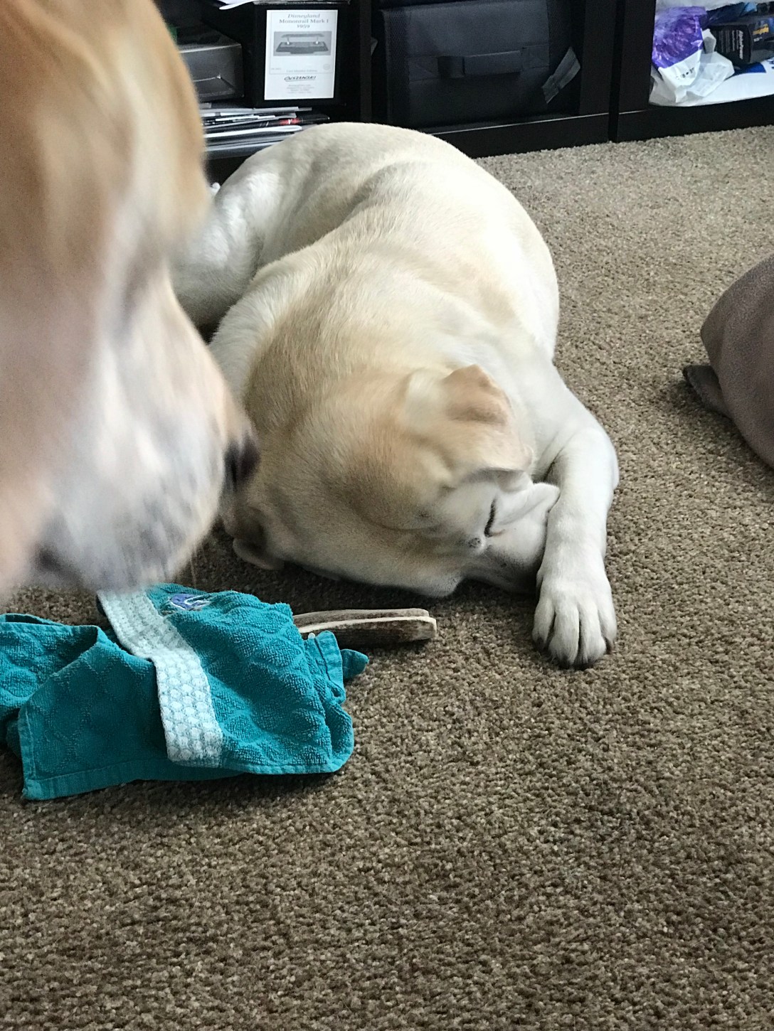 81F08C07-035A-4BFE-9AD4-B0DC54C5FD94