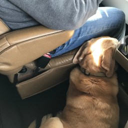 Moby, You’re so Silly.