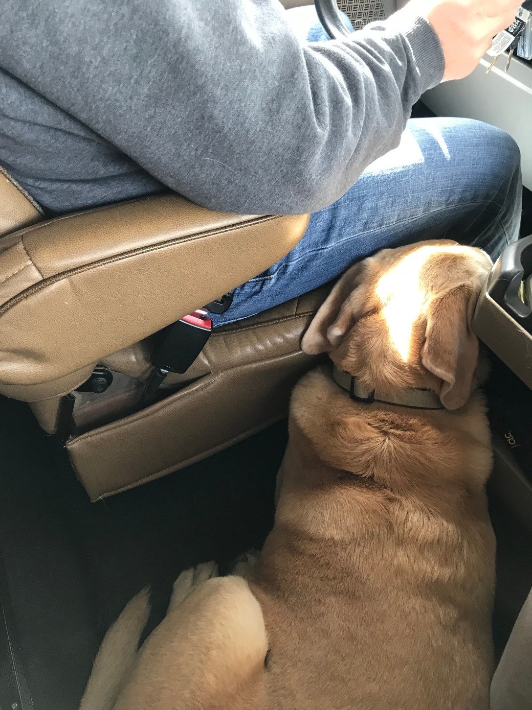 862407E7-BDF0-4682-9819-47DC2AA743F3