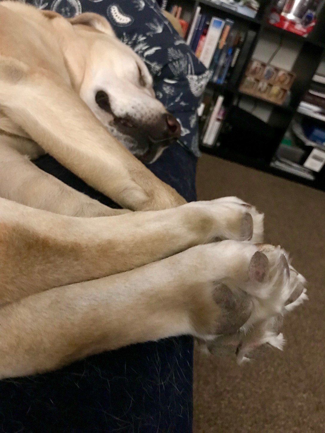 CAB76AB0-6866-42A0-ACFA-E2214CF78291