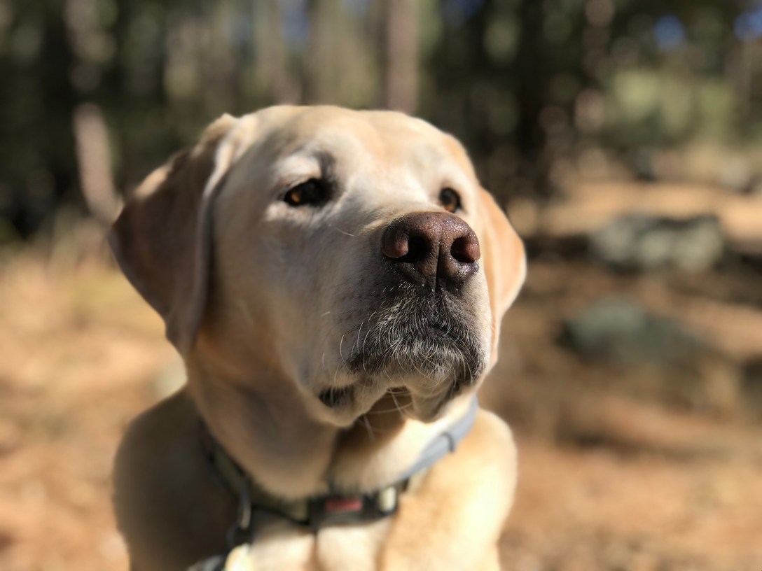 CD80AC28-11D2-490A-855F-68CA4CEC48DF