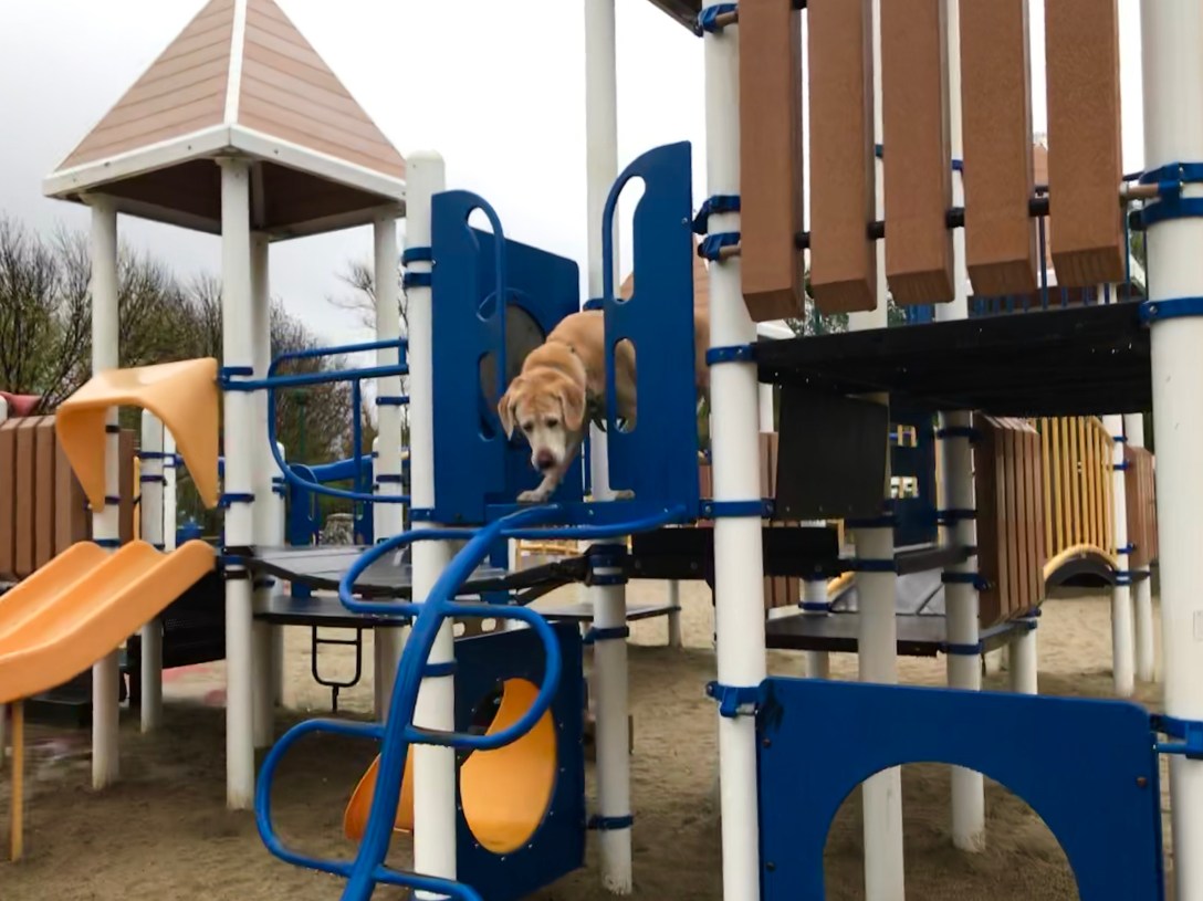 076F99D1-15C7-4CC3-93EB-6B8ACE515B85