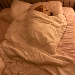 There’s More to Life Than Sleeping, Moby!