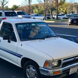 Moby’s Excellent Parking Skills