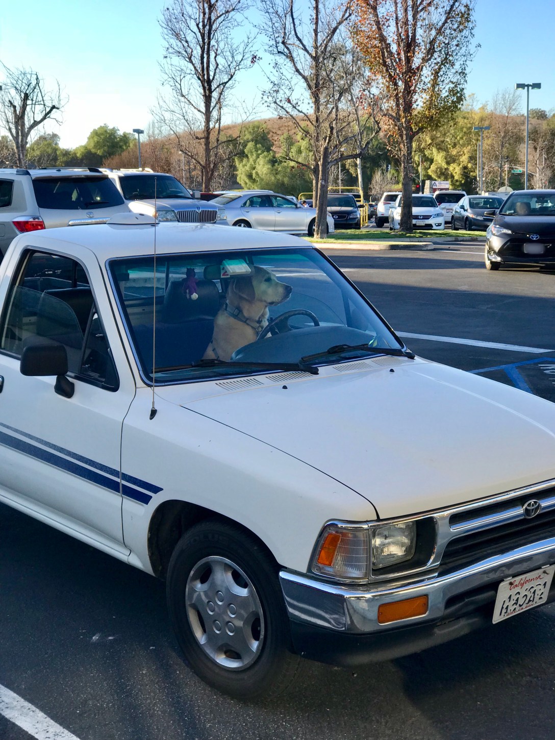 1E9264D2-59C2-420A-B361-D07F3A436FD7