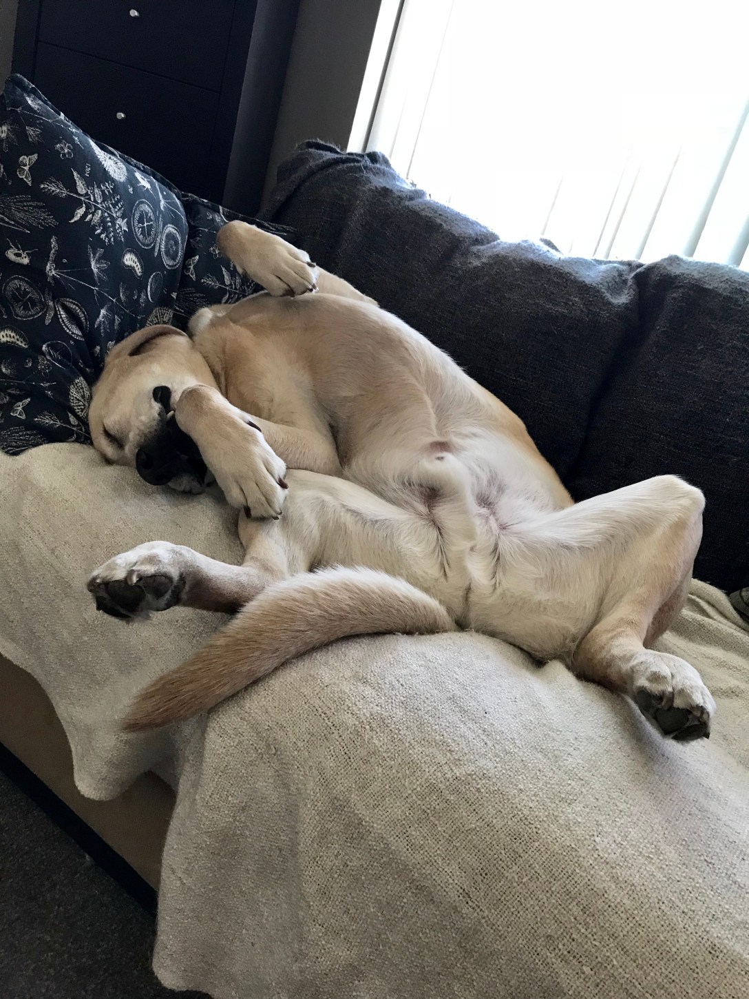 7EA053FF-BD78-456C-96C4-F3DDBA5026F5