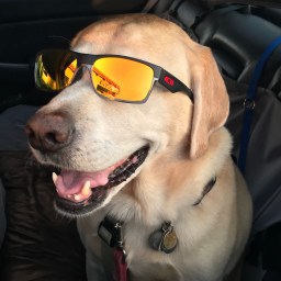 Moby Hanging out in the Sun